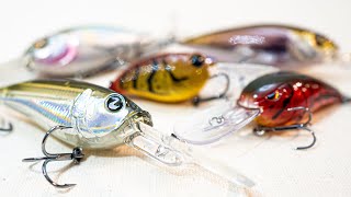 Cold Water Crankbait Tricks For Big Bass In Winter [upl. by Ronica]