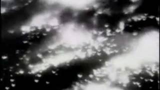 1945 Dresden Bombing Newsreel [upl. by Ynottirb]