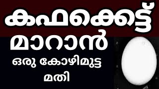 ഒരു കോഴി മുട്ട മതി കഫക്കെട്ടിൻ്റെ അടിവേരിളക്കാൻ  Natural Home Remedy for Cough  Cough Treatment [upl. by Dnomsaj418]