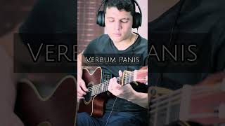 VERBUM PANIS  Fingerstyle shortsfeed verbumpanis [upl. by Tosch]