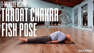 Throat Chakra Fish Pose  Yoga Asana [upl. by Shoshana]