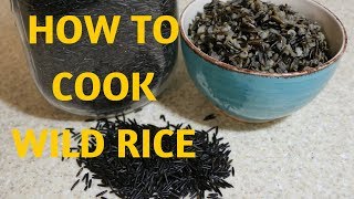 WILD RICE  HOW TO COOK  Alkaline Electric Dr Sebi Approved [upl. by Ahael]