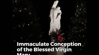 What Is The Immaculate Conception [upl. by Nanis]