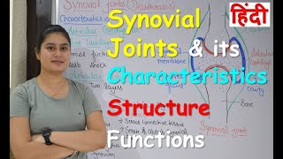 What is Synovial Joints in Hindi  Characteristics  Structure  Functions [upl. by Mairym339]