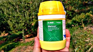 Merivon Fungicide  BASF [upl. by Annaeed]