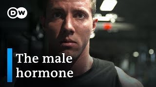 Testosterone — new discoveries about the male hormone  DW Documentary [upl. by Adniuqal]