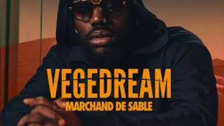 Vegedream  Tout Casser  Feat H Magnum [upl. by Fowkes989]