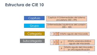 Utilización de la CIE10 Volumen 1 Lista tabular [upl. by Ylesara]