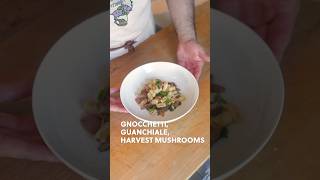 🥓🍄 GNOCCHETTI quotALLA GRICIAquot 🍄🥓pasta pastarecipes pastalover freshpasta asmr italianfood [upl. by Garibull]