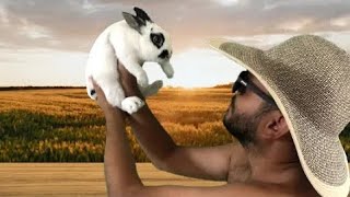 🌴 El Conejo 🐇 feat FornisioMc x Black Pussicat [upl. by Arratahs]