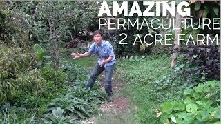 2 Acre Small Scale Permaculture Farm with Amazing Design [upl. by Zelle]