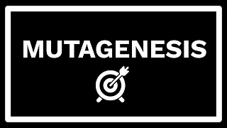 What is mutagenesis [upl. by Viccora]