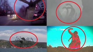 5 Godzilla Characters Caught on Camera amp Spotted in Real Life 3 [upl. by Einahc]