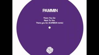 Pammin  There You Go Karmon Remix [upl. by Johna]