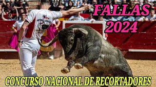 RONDA FINAL DEL CONCURSO NACIONAL DE RECORTADORES DE VALENCIA FALLAS 2024 toros valencia fallas [upl. by Aerdnaed528]