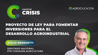 Proyecto de Ley para fomentar inversiones para el Desarrollo Agroindustrial  Atilio Benedetti [upl. by Ylrebmit]