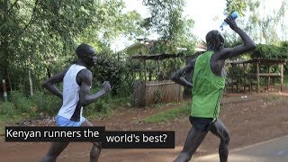 Kenyan Runners Thriving on The 801010 Diet [upl. by Dwane850]