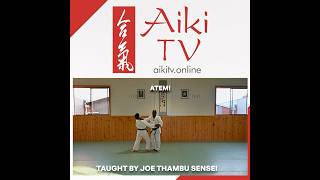 Aikido Shudokan Intl Presents  Atemi  Watch now on Aikitvonline [upl. by Balas536]