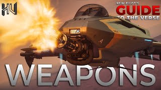 Star Citizen  Ship Weapons Guide  New Pilots Guide to the Verse [upl. by Ihcekn]