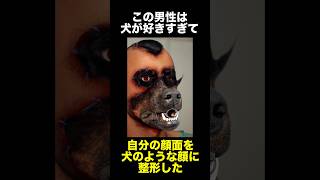 自分の顔を犬のような見た目に整形した男 事件解説 怖い話 犬 整形 [upl. by Roeser759]