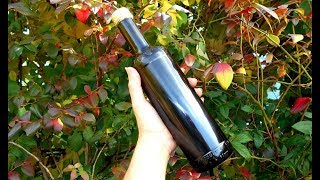 How to Make Worcestershire Sauce [upl. by Zelazny]