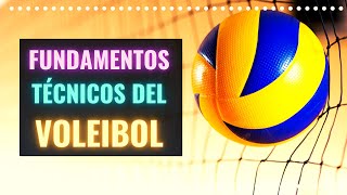 Fundamentos Técnicos del Voleibol [upl. by Henig]