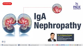 IgA Nephropathy Basics including an update on new treatments [upl. by Antonino435]