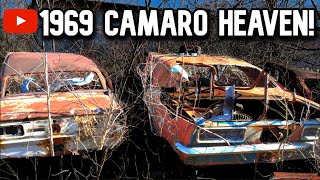 Exploring 1969 CAMARO Junkyard [upl. by Cohdwell]