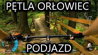 Singletrack Glacensis  Pętla Orłowiec 2022  Podjazd [upl. by Rudyard732]