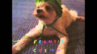 Frankie Cosmos  Zentropy Full Album [upl. by Kcod]