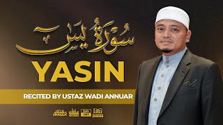 Surah Yasin سُورَةُ يس Recited by Ustaz Wadi Annuar [upl. by Annyahs]