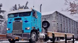 Bull Haulers on that lost hwy [upl. by Apollo669]