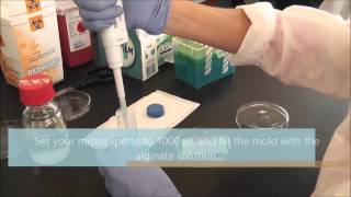 Making Alginate Gels [upl. by Fanya]