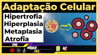 Adaptações celulares Hipertrofia Hiperplasia Atrofia Metaplasia Atualizado [upl. by Ryhpez6]