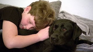 Autist Luca und sein Therapiehund sind unzertrennlich  SWR  Landesschau RheinlandPfalz [upl. by Ayyidas54]