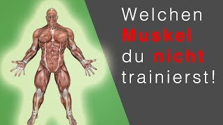 RUDERGERÄT TRAINING Dieser Muskel wird NICHT trainiert… OMG [upl. by Lindi425]