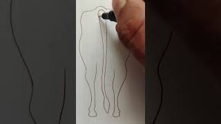 how to draw a cow outline drawing art draw [upl. by Nemajneb238]