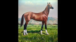 AKHAL TEKE HORSE TURKMENISTANS PRIDE [upl. by Hanforrd533]