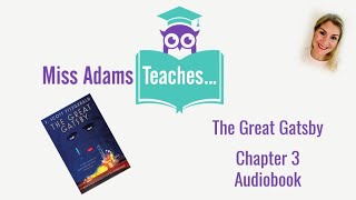 The Great Gatsby  Chapter 3 Audiobook [upl. by Arrais]