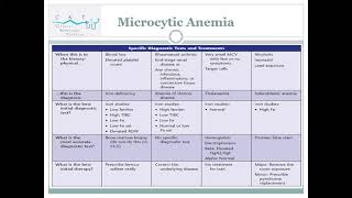 Approach to Microcytic Anemia [upl. by Annavas]