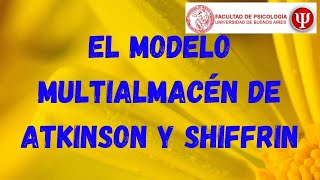 El modelo multialmacén de Atkinson y Shiffrin [upl. by Aihsekat]