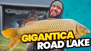 Gigantica Road Lake With Ben Parker amp CaravanCarpers  Carp Fishing Holiday [upl. by Lyle]