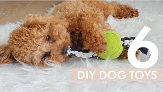 6 Easy DIY Dog Toys your dog will love  Zuko Toy Poodle [upl. by Occor]