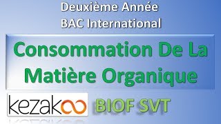 SVT 2 BAC International BIOF  Consommation De La Matière Organique Notions Elementaires [upl. by Burl]