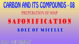 CARBON AND COMPOUNDS 08  SOAP PREPERATION  SAPONIFICATION  CLASS 10  CHEMISTRY [upl. by Eelyrehc]