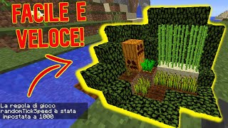 COMANDO PER FAR CRESCERE VELOCEMENTE LE PIANTE SU MINECRAFT  TUTORIAL [upl. by Delainey]