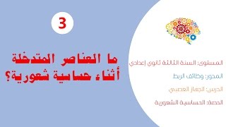 وظائف الربط  الجهاز العصبي  الحساسية الشعورية [upl. by Odelia]