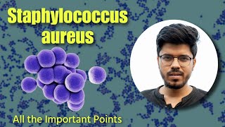 Staphylococcus aureus  Microbiology  CONs  Gram Positive Bacteria [upl. by Nosak660]