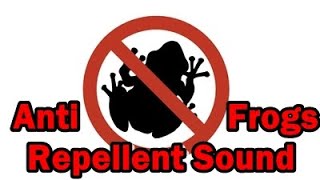 Anti Frogs Repellent Sound  Chase The frogs Away  AntiFrogs [upl. by Rednasela]