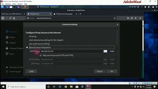 How To Configure Your PROXY SERVER Settings In Kali Linux [upl. by Blasien]